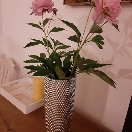 Piccola Italia Casa Racovita Πανσιόν Κλουζ-Ναπόκα