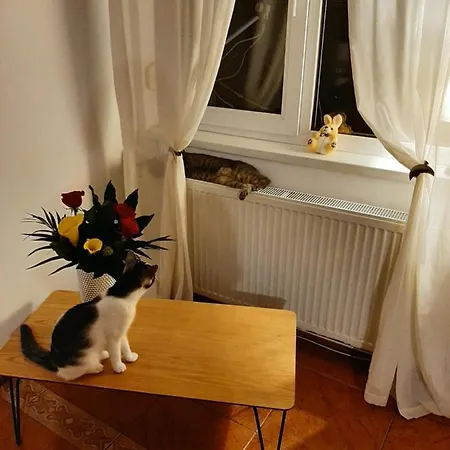 بيت ضيافة Piccola Italia Casa Racovita 3*