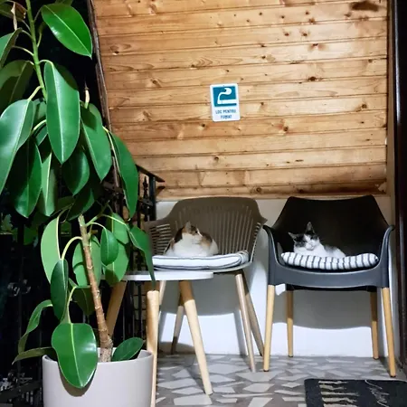 Maison d'hôtes Piccola Italia Casa Racovita