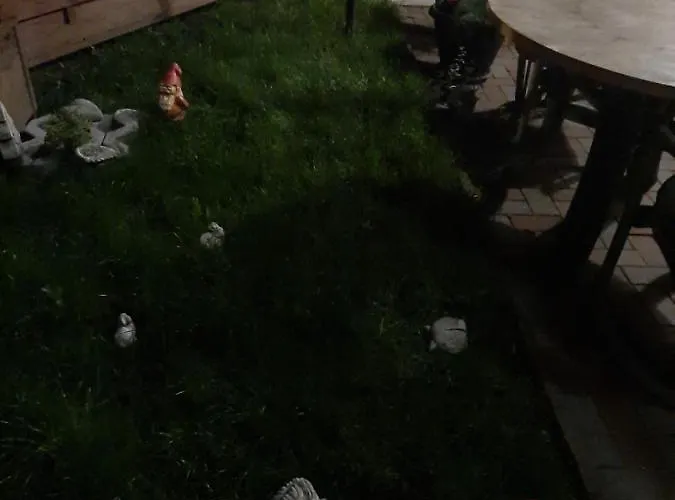 게스트하우스 Piccola Italia Casa Racovita