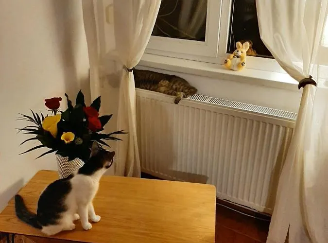 Pensión Piccola Italia Casa Racovita 3*