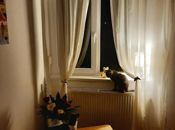 Πανσιόν Piccola Italia Casa Racovita