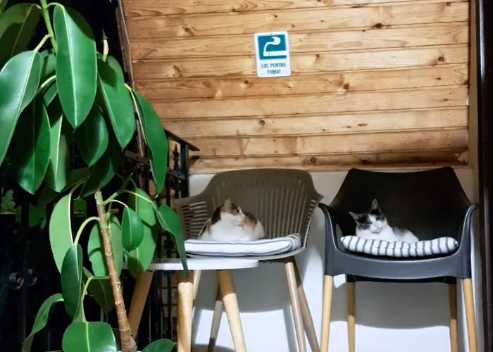 Πανσιόν Piccola Italia Casa Racovita